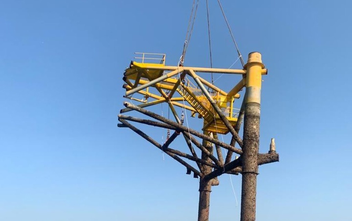 Structure and jacket removal icon